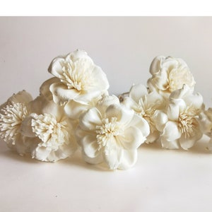 Op de afbeelding: Een groep witte sola-houten bloemkoppen. De bloemen zijn in een tros gerangschikt, sommige overlappen elkaar. De bloemen hebben een delicate, papieren textuur.