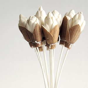 10 Siam Tulip Design  Sola Wood Flower Reed Diffuser  2 Inch for Home Fragrance Aroma Oil.