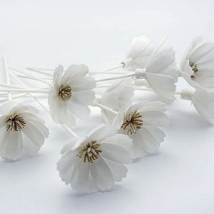 10 Cosmos Sola Flower Reed Diffuser 2" voor Home Fragrance Aroma Oil van Plawanature