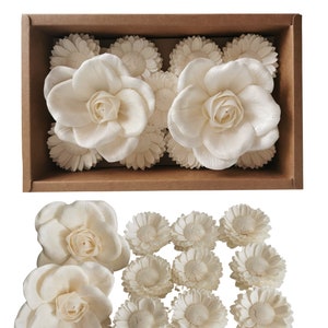 11 DIY グランディフローラ デイジー ソラフラワー リード ディフューザー (アロマフレグランスとフラワーアレンジメント用) (Plawanature 作)。