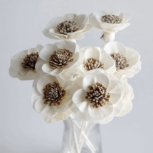 May include: A bouquet of white sola wood flowers with brown centres in a clear glass vase. The flowers are arranged in a cluster and have a delicate, natural look.