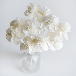 Op de afbeelding: Een boeket witte sola-houten bloemen in een heldere glazen vaas. De bloemen zijn in een tros gerangschikt en hebben een delicate, papieren textuur.