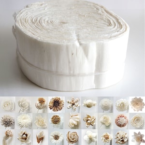 Forniture per rotolo di lamiera di legno Sola bianca fai-da-te per l'artigianato artificiale di sola fiore di Plawanature