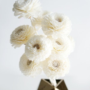 May include: A bouquet of white sola wood flowers in a gold geometric vase. The flowers are arranged in a cluster and have a delicate, papery texture.