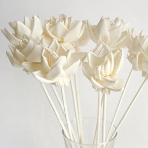 Op de afbeelding: Een boeket witte, decoratieve, bloemvormige diffuserstokjes in een heldere glazen vaas. De stokjes zijn gemaakt van een zacht, poreus materiaal en zijn ontworpen om essentiële oliën te absorberen.