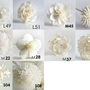 10 Reed Diffuser Mixed Design Sola Wood Flower per la fragranza per la casa di Plawanature