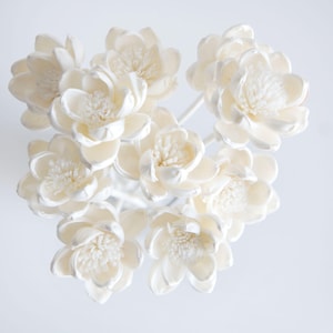 10 Reed Diffuser White Lotus Sola  Flower 2&quot; for Home Fragrance by Plawanature
