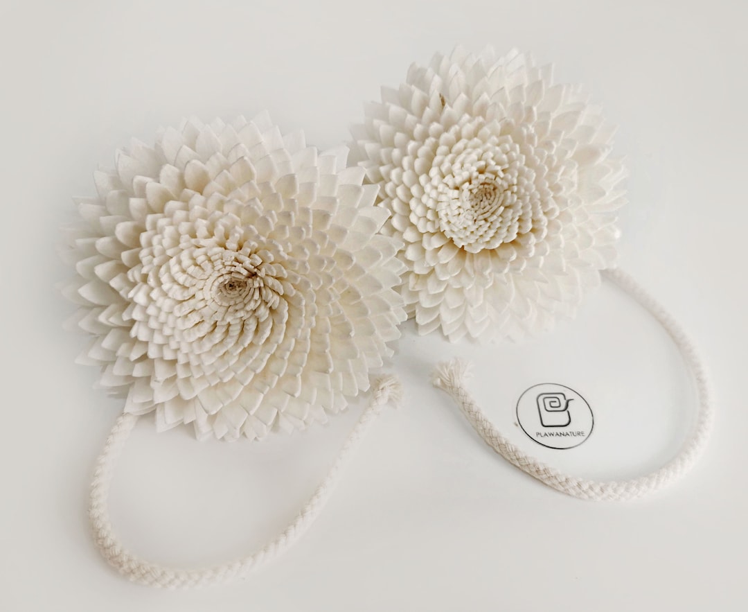 2 Gerbera Chrysanthemum 3