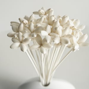 40  Mini Night Jasmine Sola Wood Flower with Reed Diffuser for Home Fragrance Aroma Oil by Plawanature