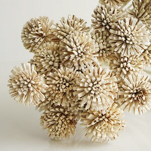 10 Popinac Reed Diffuser  Sola Wood Flower 2"for Home Fragrance Aroma Oil by Plawanature