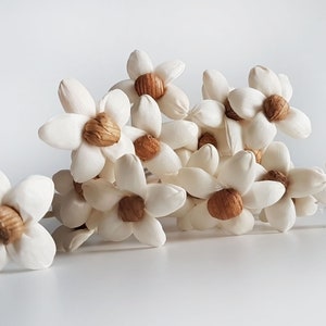 May include: A bunch of white paper flowers with brown centres. The flowers are arranged in a cluster and have a delicate, natural look.