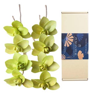 May include: Two vertical strings of light green wooden orchid flowers and a rectangular cardboard box. The box features a dark blue label with the text "PLAWANATURE" and "The Miracle of Nature" along with stylized floral illustrations.
