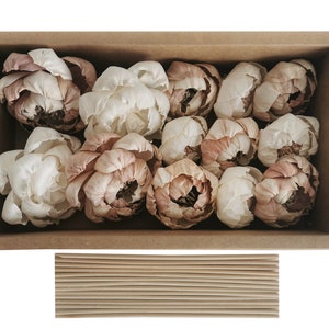 Op de afbeelding: Een doos gevuld met gedroogde bloemkoppen in crème- en lichtbruine tinten. De bloemen zijn in een enkele laag gerangschikt en zijn allemaal in dezelfde richting gericht. De doos is gemaakt van bruin karton en heeft een eenvoudig ontwerp.