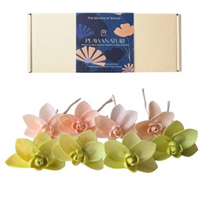 May include: A rectangular cardboard box with a dark blue label featuring floral patterns and the text Plawanature, The Miracle of Nature, Nature is abundance; wisdom makes it shine. Below are eight wooden orchid flowers in light pink and lime green.