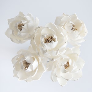 5 Peony Auguste Sola Flower Reed Diffuser 3&quot; for Home Fragranceby Plawanature