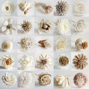 25 Mixed Sola Flower with Reed Diffuser for Home Fragrance Aroma Oil by Plawanature