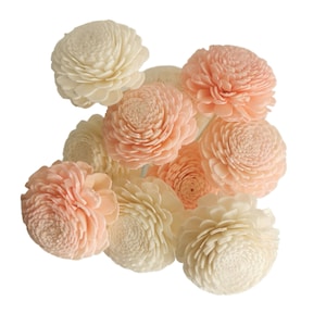 May include: A bouquet of sola wood flowers in shades of cream and peach. The flowers are arranged in a cluster and have a delicate, layered appearance.