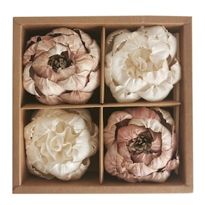 4 White Natural Rare Peony Brides Dream Sola Flower Cotton Wick Diffuser Set for Home Fragrance by Plawanature