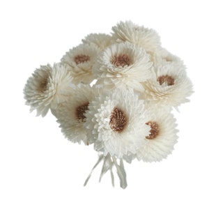 May include: A bunch of dried white flowers with brown centres. The flowers are arranged in a cluster and have a delicate, papery texture.