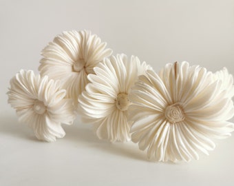 10 White Aster White Sola Flower Reed Diffuser for Home Fragrance by Plawanature
