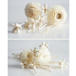 2 Sets of Reed Diffuser with Popular Sola Wood Flower Arrangement for Home Fragrance Aroma Oil by Plawanature