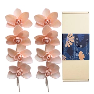 May include: Two vertical stems of pale peach-colored wooden orchid flowers and a rectangular cardboard box. The box features a dark blue label with the text "PLAWANATURE" and "The Miracle of Nature" alongside floral graphic illustrations.