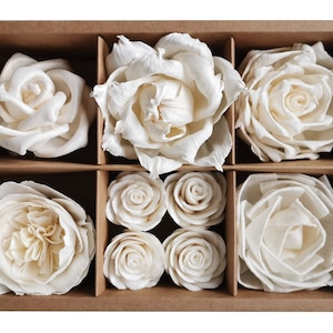 Op de afbeelding: Een doos met acht witte sola-houten bloemkoppen in verschillende maten en stijlen. De bloemen zijn gerangschikt in een rasterpatroon in een bruine kartonnen doos.