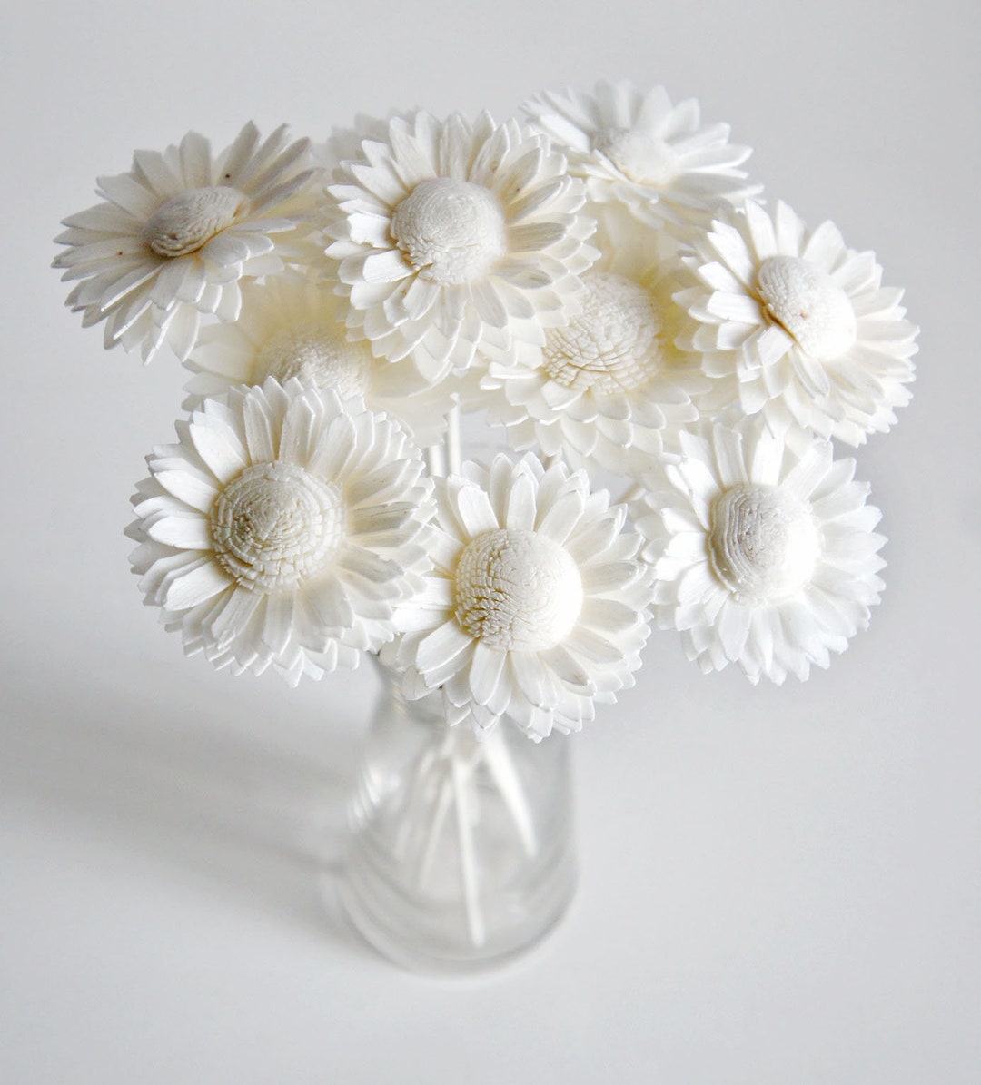 10-white-daisy-2-sola-flower-reed-diffuser-for-home-fragrance-by