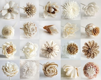 Plawanature Set med 30 anpassade blandade Sola-träblommor med rördiffusor för hemdoft, aromolja.