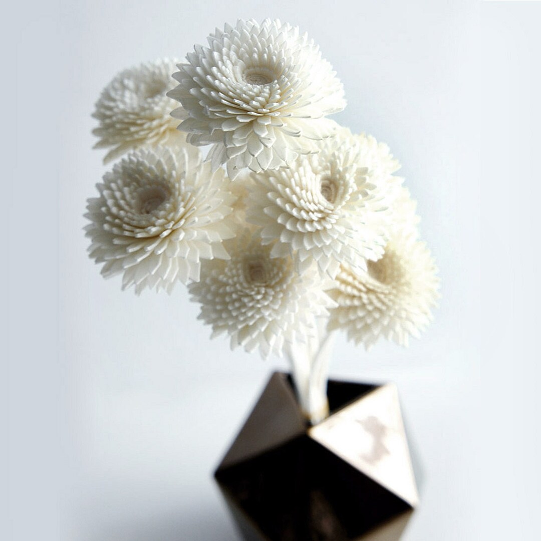 10-gerbara-sola-flower-reed-diffuser-2-for-home-fragrance-aroma-oil-by