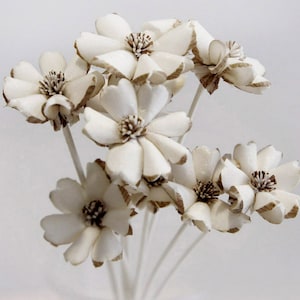 Peut inclure: Un bouquet de fleurs en papier blanc avec des centres marrons. Les fleurs sont disposées sur de fines tiges blanches.