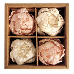 May include: A set of four delicate, dried flower heads in a brown box. The flowers are arranged in two rows of two, with each flower having a different shade of pink and white.