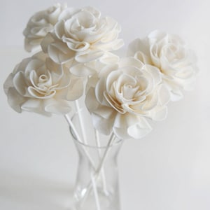 Op de afbeelding: Een boeket witte sola-houten bloemen in een heldere glazen vaas. De bloemen zijn in een tros gerangschikt en hebben een delicate, gekrulde textuur.