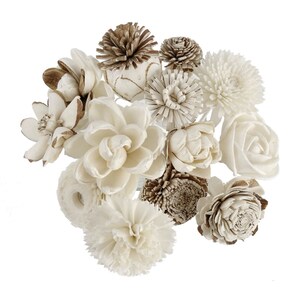 12 Mixed Sola Flower with Reed Diffuser for Home Fragrance Aroma Oil by Plawanature