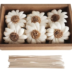 Może przedstawiać: Pudełko z ośmioma białymi główkami kwiatów z drewna sola z brązowymi środkami i wiązką drewnianych patyczków.