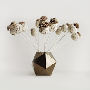 May include: A gold geometric vase with a bouquet of dried white poppy seed heads with brown centers.
