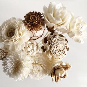 10 Mixed Sola Flower with Reed Diffuser for Home Fragrance Aroma Oil by Plawanature.