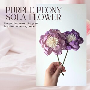 May include: Two purple peony sola flowers with cream-colored centers and thin green stems. The text on the image reads: PURPLE PEONY SOLA FLOWER. The perfect match for your favorite home fragrance.