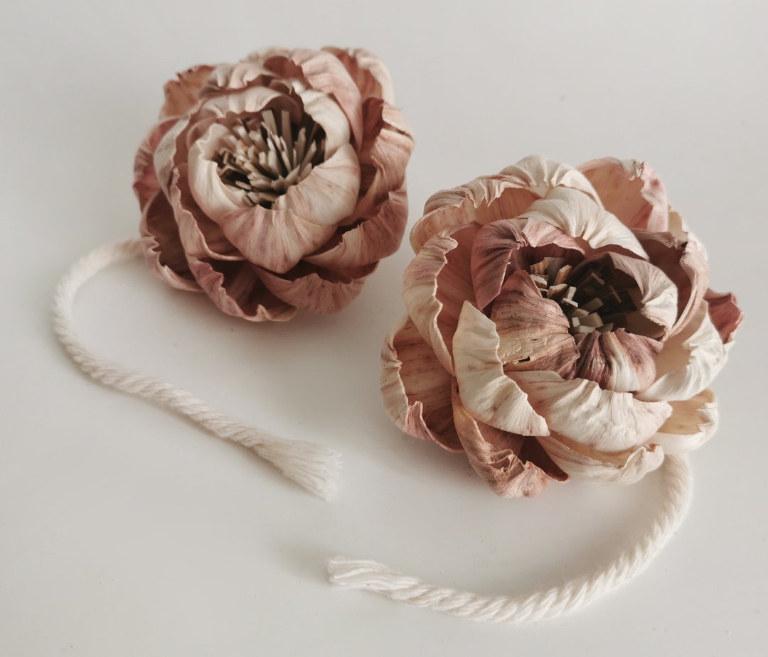 Peony Natural Rare Color Sola Flower Cotton Rope Diffuser for Home ...