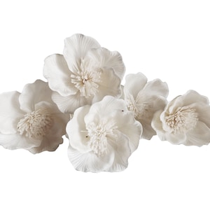 5 White Hibiscus Sola Flower 8 cm Reed Diffuser Sticks for Home Fragrance