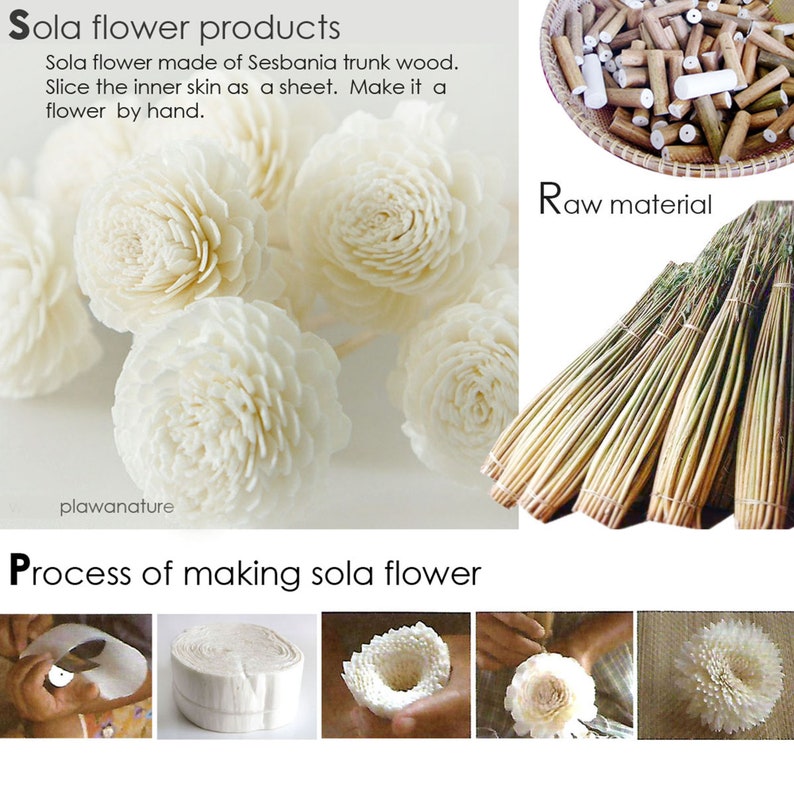 4 Romantic Sola Mulberry Paper Flower Reed Diffuser Cotton Etsy Australia