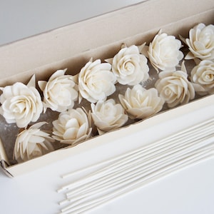DIY 12 Sola Flower  Reed Diffuser  for Home Fragrance and Supplies for  Handcraft Work by Plawanature