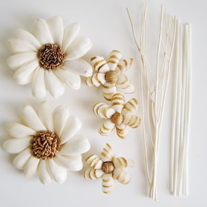 DIY Set of Daisy Design Sola Wood Flower with Reed Diffuser for Home Fragrance Aroma Oil by Plawanature