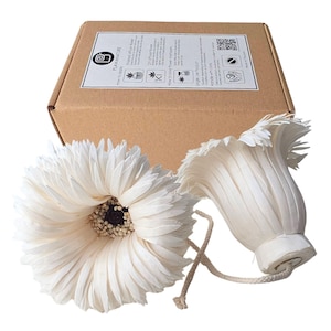 May include: Two white sola wood flowers with textured petals and dark centers, each attached to a thin cotton wick. The flowers are positioned in front of a rectangular brown cardboard box featuring a white label with black text and icons.