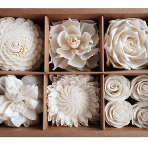 Op de afbeelding: Een set van zes witte sola-houten bloemen in een bruine doos. De bloemen zijn gerangschikt in drie rijen van twee. De bloemen zijn allemaal van verschillende vormen en maten.