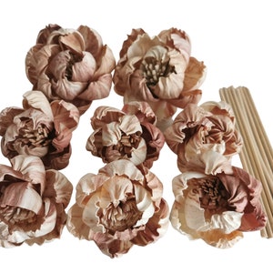 Op de afbeelding: Een set van acht bruine en crèmekleurige sola-houten bloemkoppen met een bundel van tien natuurlijke houten diffuserstokjes.