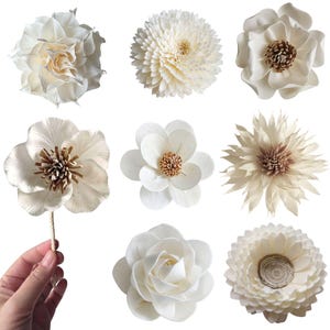 May include: A collection of eight cream-colored decorative flowers crafted from thin, layered material. The flowers feature various petal shapes, including rounded, pointed, and fringed designs, with some displaying textured centers in shades of brown.