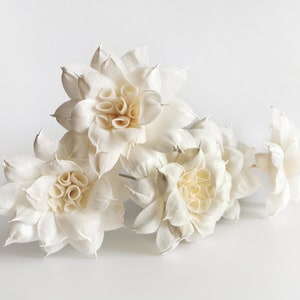 5 Mandala Sola Flower Reed Diffuser 3&quot; for Home Fragrance by Plawanature.