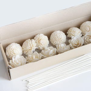 May include: A box of white sola wood flower heads with a set of white diffuser sticks. The flowers are arranged in a single layer in the box.