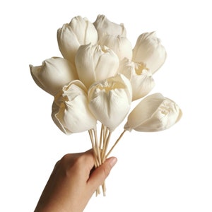 Plawanature 10 Lovely Tulip Sola Flower 2&quot; Reed Diffuser for Home Fragrance.